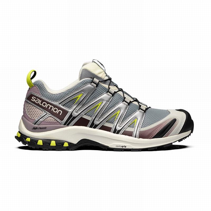 Chaussures De Trail Running Salomon Homme Argent / Vert Clair - Salomon XA PRO 3D - France (3469-EFP